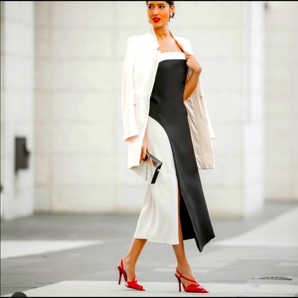 (Zara) NWT🏷 LIMITED EDITION CONTRAST WOOL BLEND DRESS